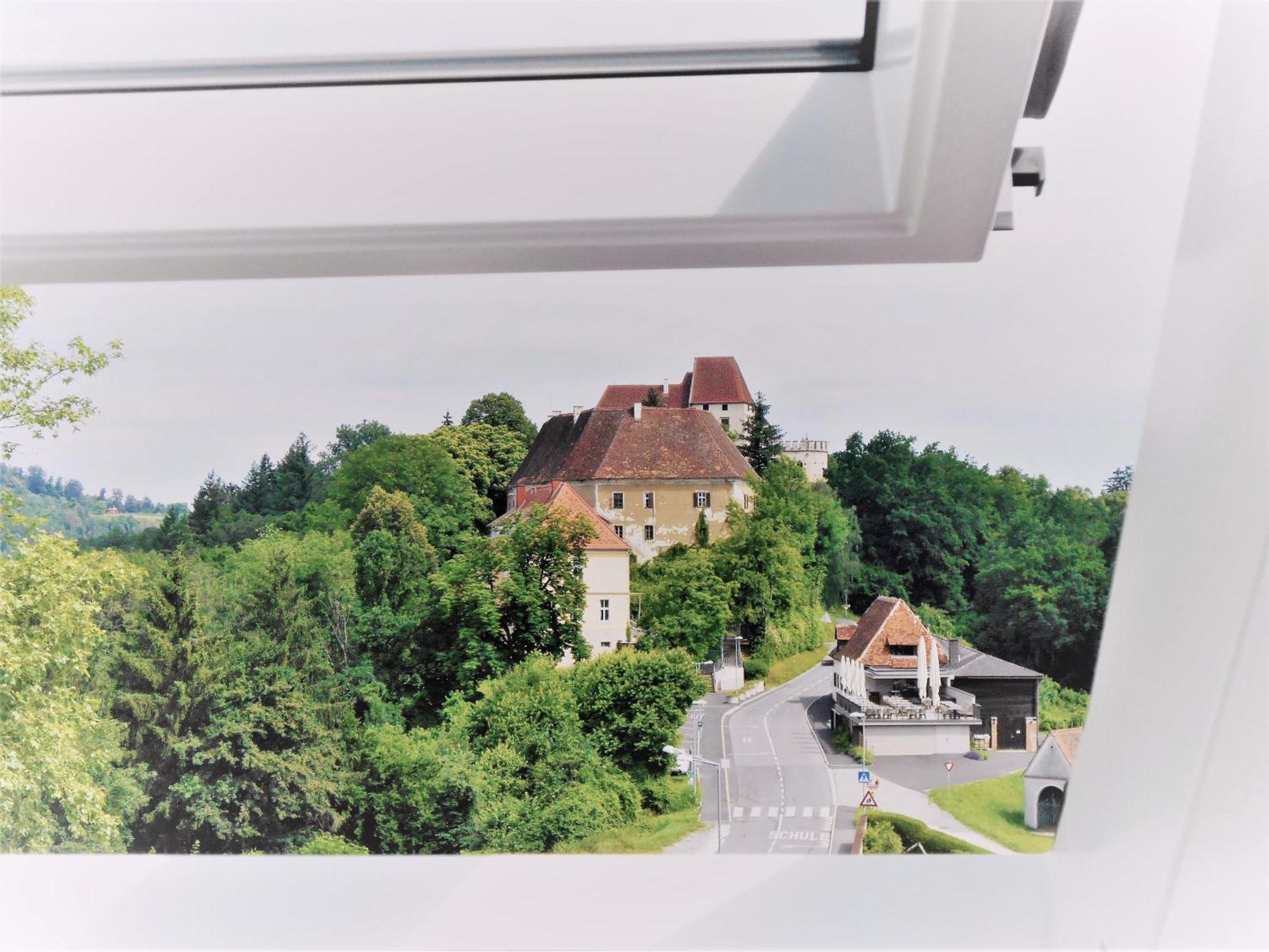 Ferienwohnungen Karin Am Seggauberg Leibnitz Cameră foto